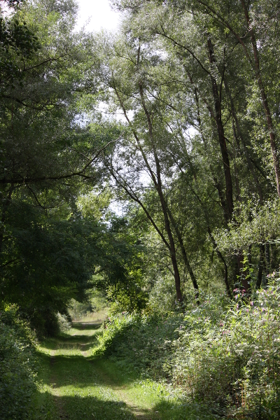 Plaquette pédagogique 2009-2010